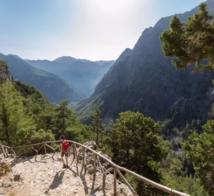 Hiking trail in Crete’s Samaria Gorge, winding through rugged mountain cliffs and dense pine forests with a hiker walking along the stone path.