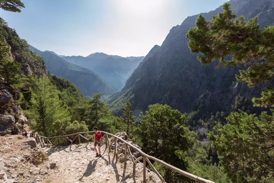 Hiking trail in Crete’s Samaria Gorge, winding through rugged mountain cliffs and dense pine forests with a hiker walking along the stone path.