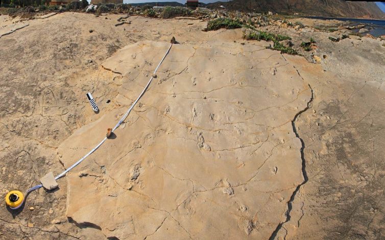 Trachilos-Footprints-min