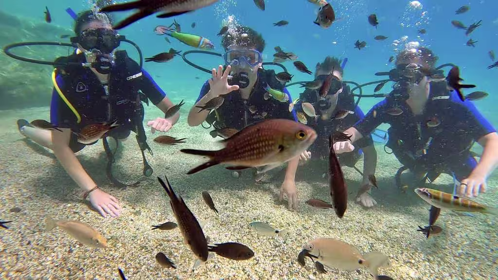 padi_diving A group of scuba divers from PADI International Course ,surrounded by colorful fish while exploring the shallow, clear waters off Crete.