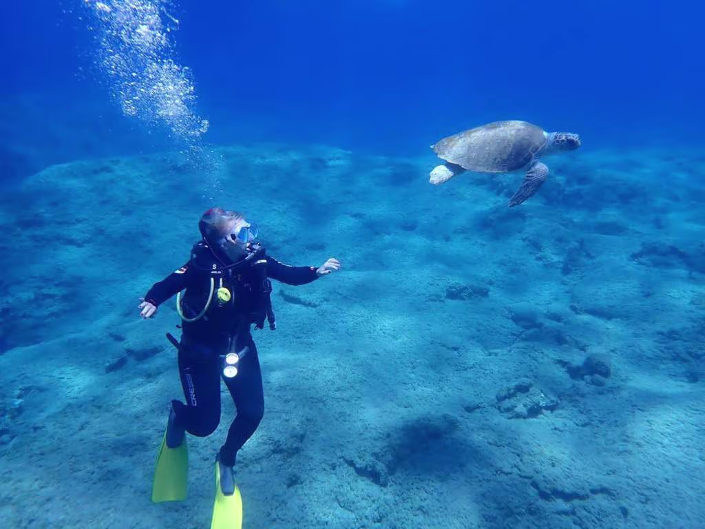 sea_life_crete A scuba diver encountering a sea turtle in the clear blue waters off Crete.